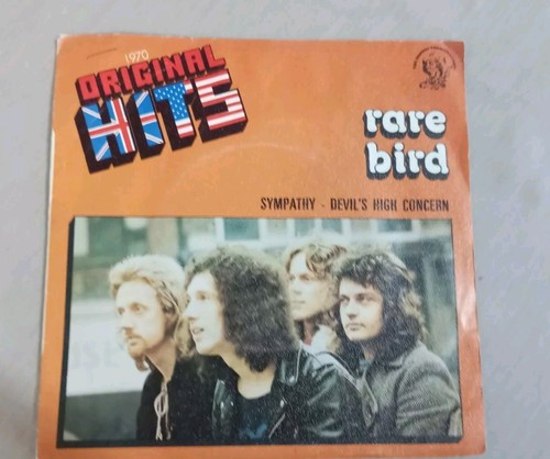 Rare bird sympathy - /, tours
