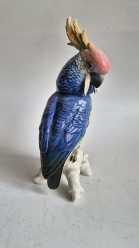 Rare karl ens - ens, perroquet
