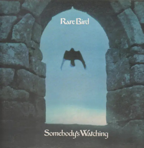 Rare bird somebody watching - rare,