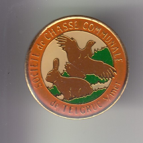 Rare pins pin - pin's, ..