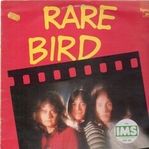 Rare bird compilation - bird, uk