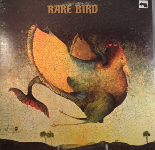 Rare bird - rare,