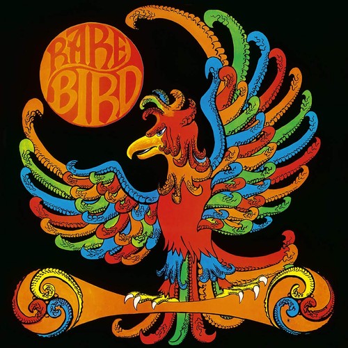 Rare bird - rare, (poche)