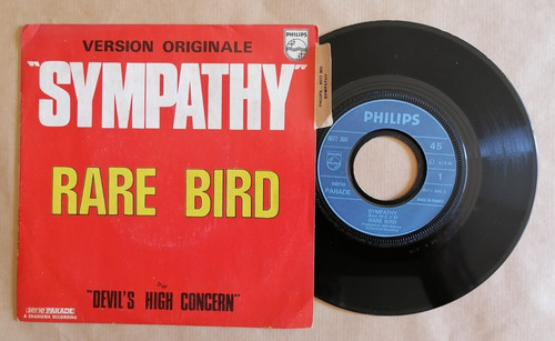 Rare bird sympathy - bird,