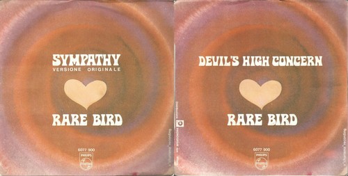 Disque tours rare bird - 45,