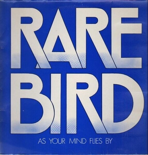 Rare bird your mind - your,