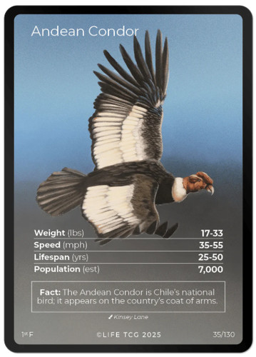 Life tcg birds - birds, (full