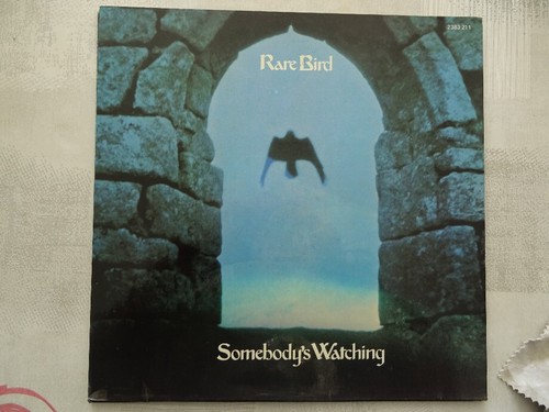 Vinyle33t rare bird - vinyle33t,
