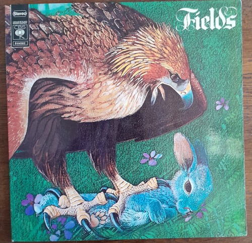 Rare fields k - rare, (k