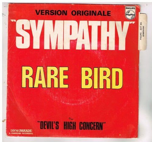 Rare bird sympathy - bird,