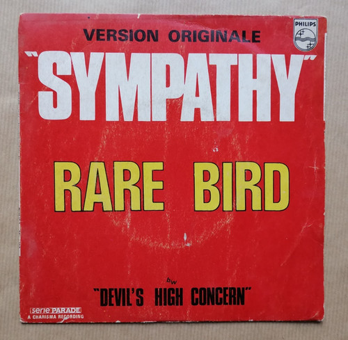 Rare bird sympathy - bird,