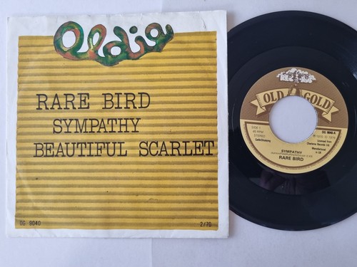 Rare bird sympathy - bird, sympathy/
