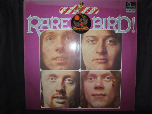 Vinyl tours rare bird - rare, /
