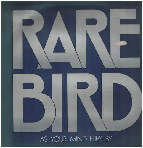 Rare bird your mind - bird,