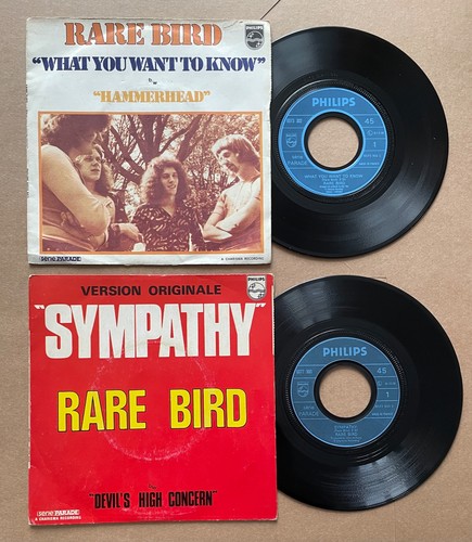 Rare bird lot 45 - bird,