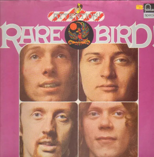 Rare bird attention - rare,