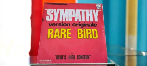 Tours vinyle rare - vinyle, bird