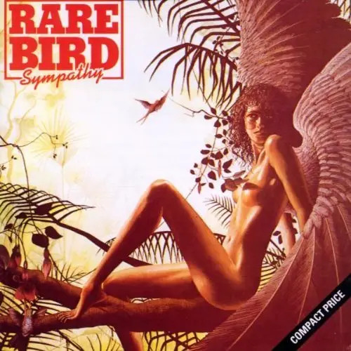 Rare bird sympathy - rare,