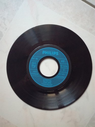 Vinyle 45t rare bird - vinyle,